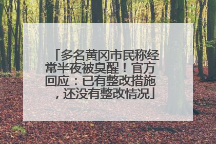 多名黄冈市民称经常半夜被臭醒！官方回应：已有整改措施，还没有整改情况