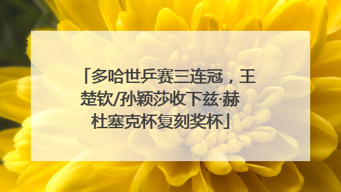 多哈世乒赛三连冠，王楚钦/孙颖莎收下兹·赫杜塞克杯复刻奖杯