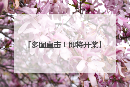 多图直击！即将开桨