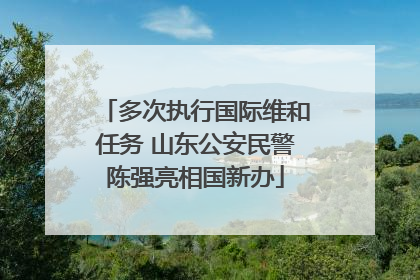 多次执行国际维和任务 山东公安民警陈强亮相国新办