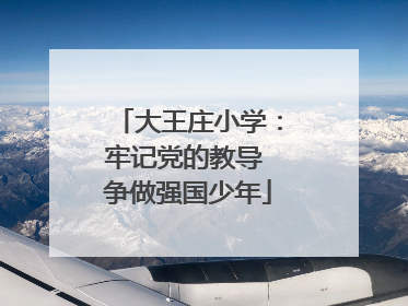 大王庄小学：牢记党的教导 争做强国少年