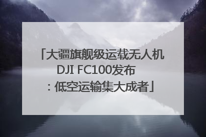 大疆旗舰级运载无人机DJI FC100发布：低空运输集大成者