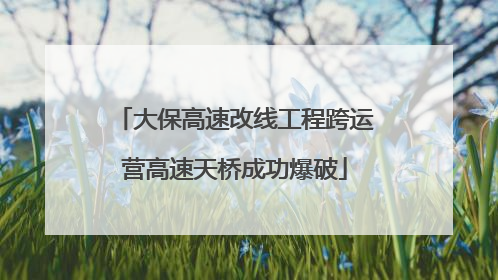 大保高速改线工程跨运营高速天桥成功爆破