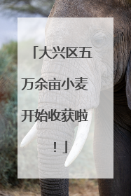 大兴区五万余亩小麦开始收获啦！