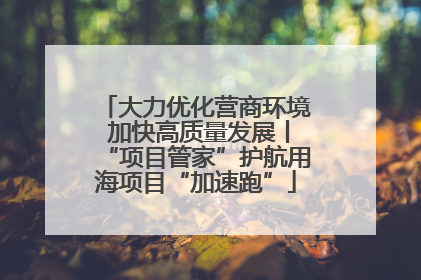 大力优化营商环境 加快高质量发展丨“项目管家”护航用海项目“加速跑”