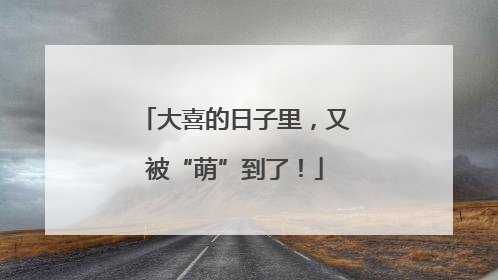 大喜的日子里，又被“萌”到了！