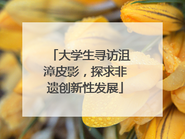 大学生寻访沮漳皮影，探求非遗创新性发展