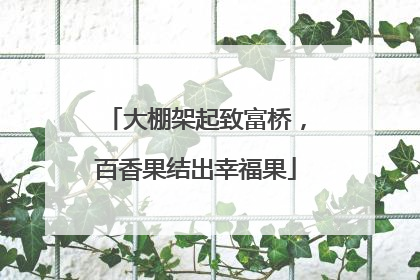 大棚架起致富桥，百香果结出幸福果