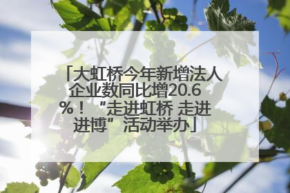 大虹桥今年新增法人企业数同比增20.6%！“走进虹桥 走进进博”活动举办