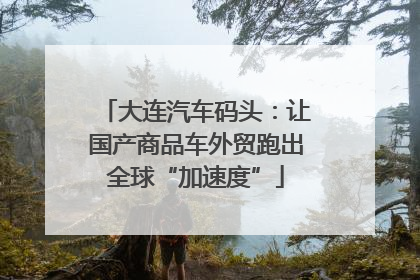 大连汽车码头：让国产商品车外贸跑出全球“加速度”
