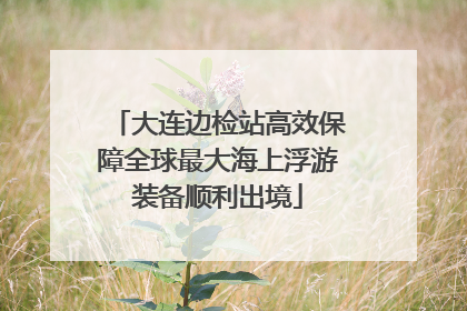 大连边检站高效保障全球最大海上浮游装备顺利出境