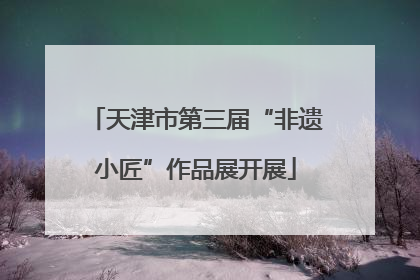 天津市第三届“非遗小匠”作品展开展