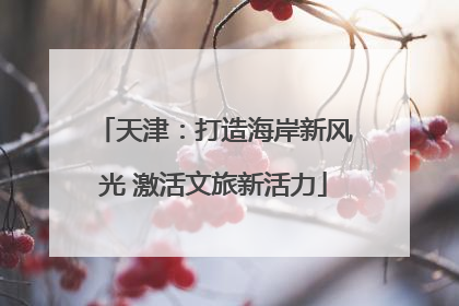 天津：打造海岸新风光 激活文旅新活力