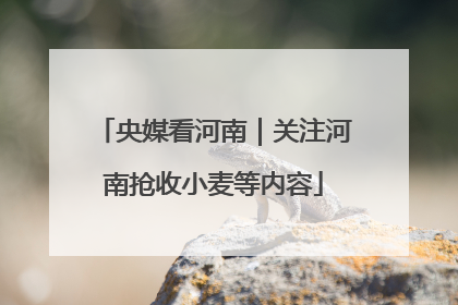 央媒看河南｜关注河南抢收小麦等内容