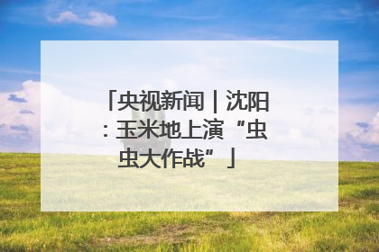 央视新闻｜沈阳：玉米地上演“虫虫大作战”