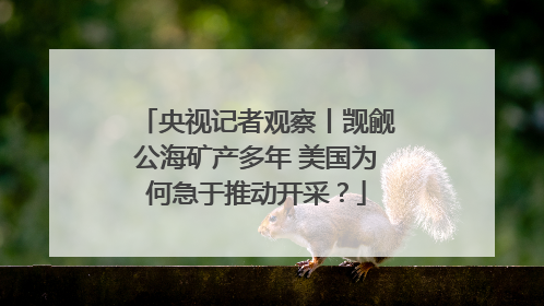 央视记者观察丨觊觎公海矿产多年 美国为何急于推动开采？