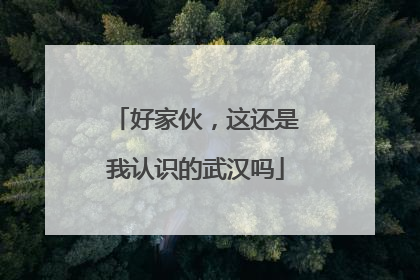 好家伙，这还是我认识的武汉吗