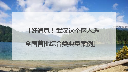 好消息！武汉这个区入选全国首批综合类典型案例