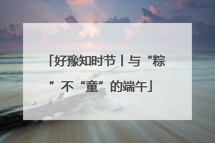 好豫知时节丨与“粽”不“童”的端午