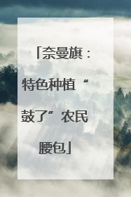 奈曼旗：特色种植“鼓了”农民腰包