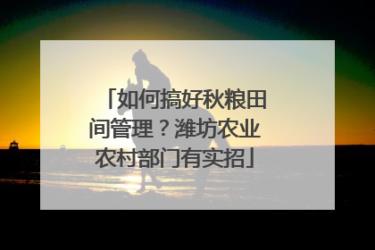 如何搞好秋粮田间管理？潍坊农业农村部门有实招