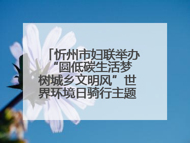 忻州市妇联举办“圆低碳生活梦 树城乡文明风”世界环境日骑行主题宣传活动