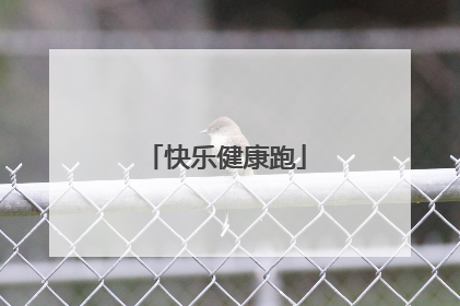 快乐健康跑