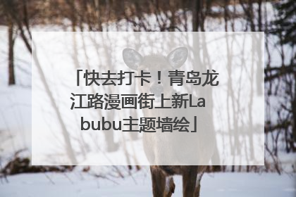 快去打卡！青岛龙江路漫画街上新Labubu主题墙绘