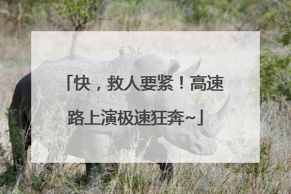 快，救人要紧！高速路上演极速狂奔~