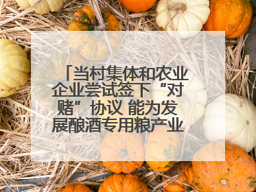 当村集体和农业企业尝试签下“对赌”协议 能为发展酿酒专用粮产业带来哪些利好？