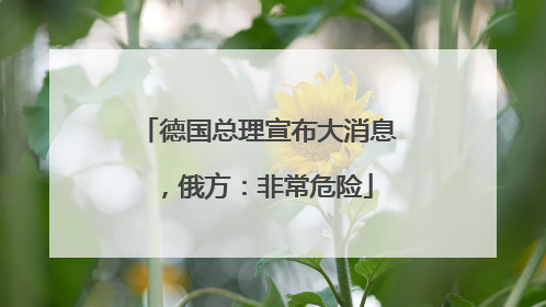 德国总理宣布大消息，俄方：非常危险
