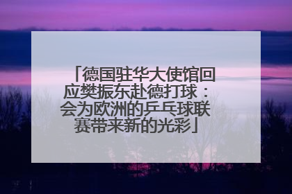 德国驻华大使馆回应樊振东赴德打球：会为欧洲的乒乓球联赛带来新的光彩