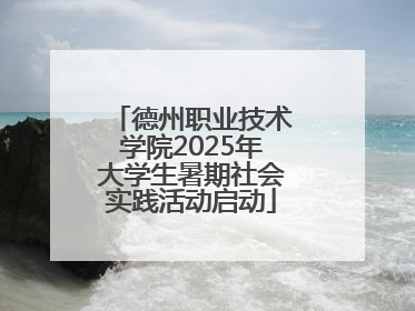 德州职业技术学院2025年大学生暑期社会实践活动启动