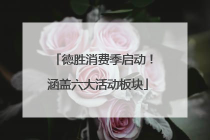 德胜消费季启动！涵盖六大活动板块