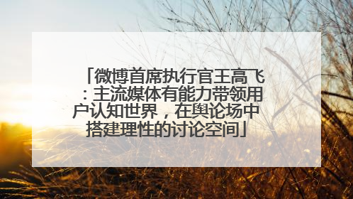 微博首席执行官王高飞：主流媒体有能力带领用户认知世界，在舆论场中搭建理性的讨论空间