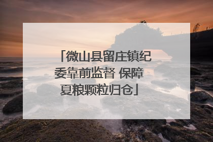 微山县留庄镇纪委靠前监督 保障夏粮颗粒归仓