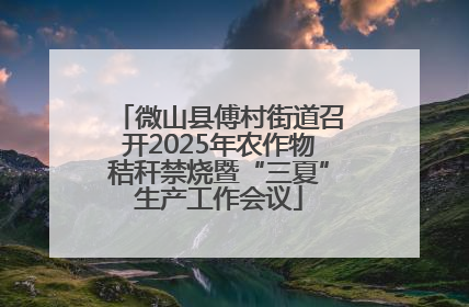微山县傅村街道召开2025年农作物秸秆禁烧暨“三夏”生产工作会议