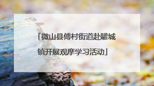 微山县傅村街道赴驩城镇开展观摩学习活动