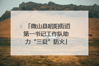 微山县昭阳街道第一书记工作队助力“三夏”防火