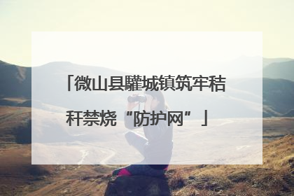 微山县驩城镇筑牢秸秆禁烧“防护网”