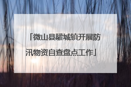 微山县驩城镇开展防汛物资自查盘点工作