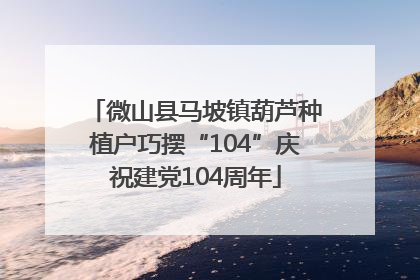 微山县马坡镇葫芦种植户巧摆“104”庆祝建党104周年
