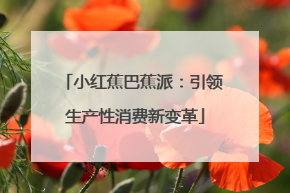 小红蕉巴蕉派：引领生产性消费新变革