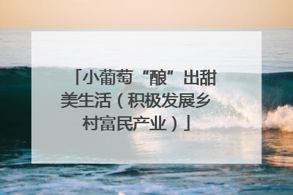 小葡萄“酿”出甜美生活（积极发展乡村富民产业）