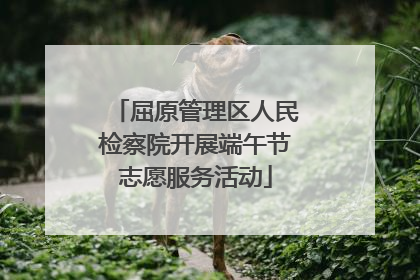 屈原管理区人民检察院开展端午节志愿服务活动