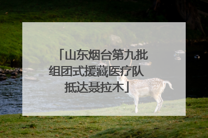 山东烟台第九批组团式援藏医疗队抵达聂拉木