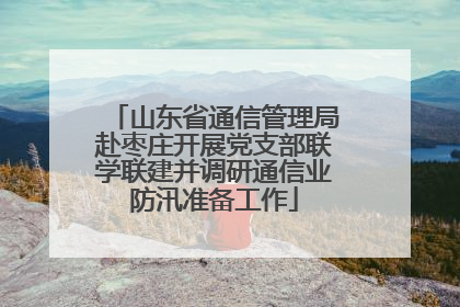 山东省通信管理局赴枣庄开展党支部联学联建并调研通信业防汛准备工作