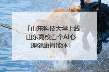 山东科技大学上线山东高校首个AI心理健康智能体