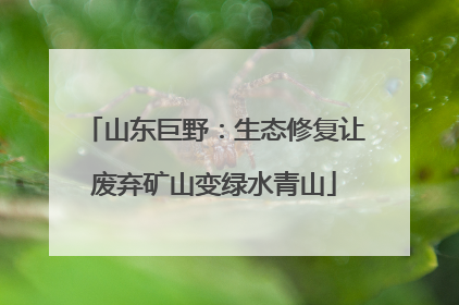 山东巨野：生态修复让废弃矿山变绿水青山