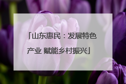 山东惠民：发展特色产业 赋能乡村振兴